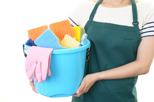 Professional carpet cleaning in a North End home
