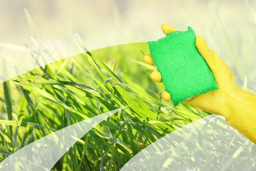 Professional mattress cleaning in a North End home