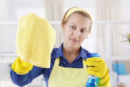 Professional rug cleaning in North End for a fresh, well-maintained home