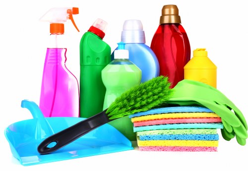Professional pet stain odour removal in North End for a fresh carpet