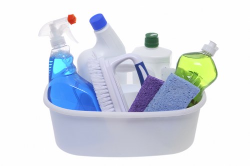 Carpet and upholstery pet odour removal service in North End