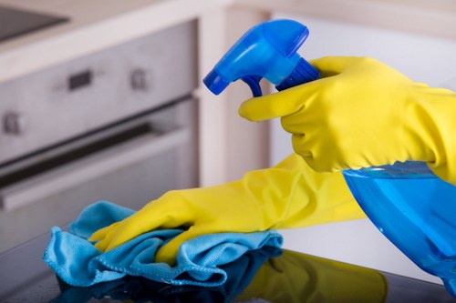 Detailed carpet cleaning process used by North End carpet cleaners for fresh indoor spaces