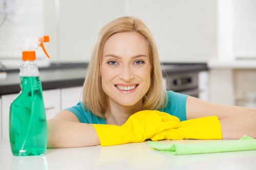Documentation and review of a carpet cleaning complaint