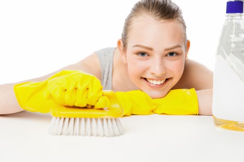 Professional North End carpet cleaning for a busy commercial environment