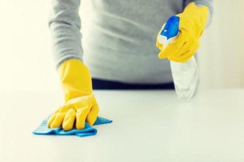 North End Carpet Cleaners restoring carpet freshness in a residential setting