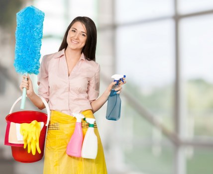 Transparent carpet pricing for a North End property estimate