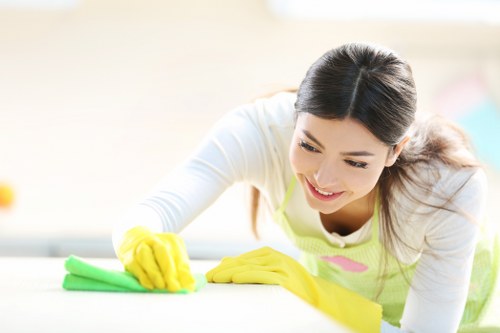 North End carpet cleaners treating stains in a residential interior
