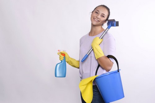 Risk assessment and safety planning for North End carpet cleaning