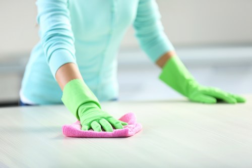 Insurance and safety measures for carpet cleaning in North End