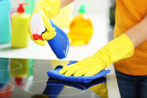 Local carpet cleaning service by North End Carpet Cleaners supporting clean, comfortable spaces
