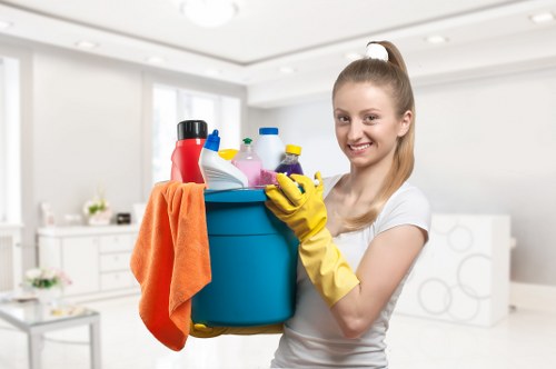 Deep cleaning equipment used for North End carpets