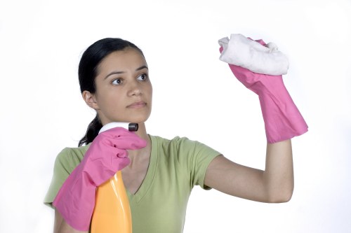 Accessible website content for North End carpet cleaners area