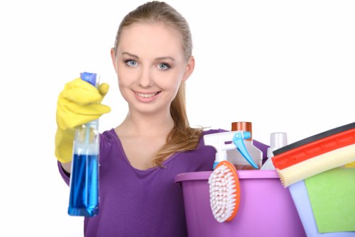 Upholstery and rug stain cleaning in North End