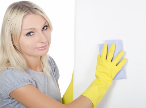 Technician performing professional upholstery cleaning in North End